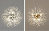 Hanging Lamp Blossom