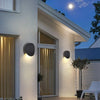 Shell Pendant Lamp