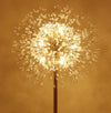 Blossom Floor Lamp