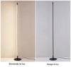 Floor Lamp Light Stick