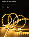 Lux Wall Lamp