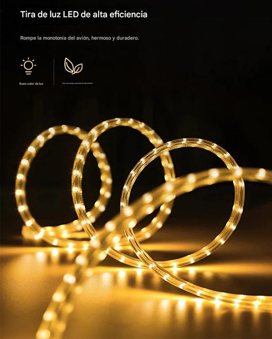 Lux Wall Lamp