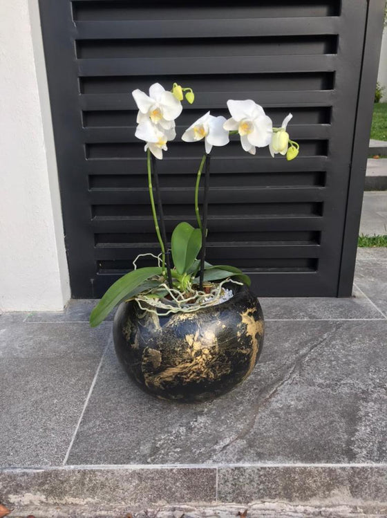 Zenti Flower Pot