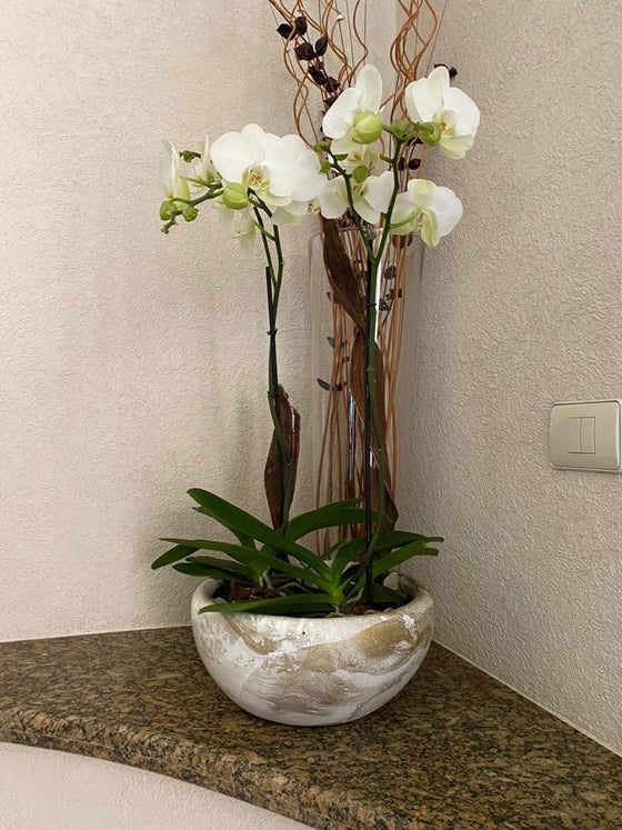 Zenti Flower Pot