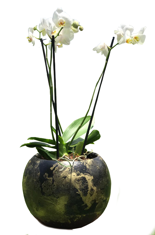 Zenti Flower Pot