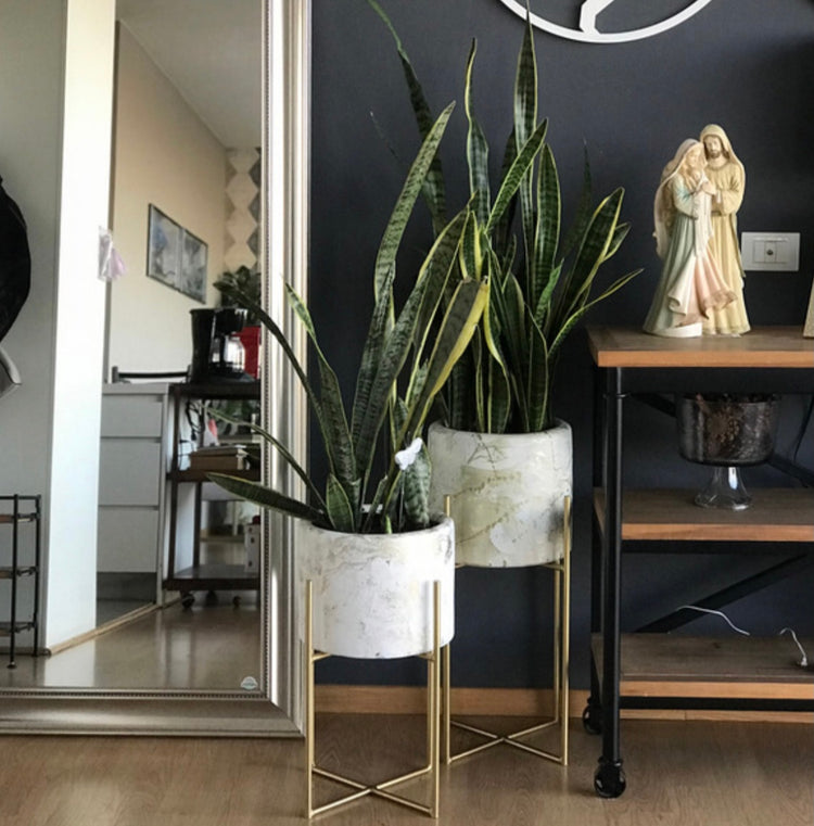 Maceta Decore - maceta decorativa para interiores o exteriores | Casa Fogo México